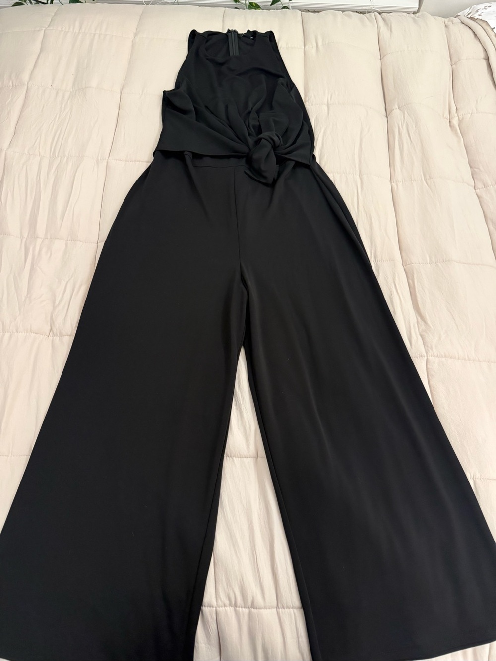 Express Black Sleeveless Wide-Leg Jumpsuit with Front Knot